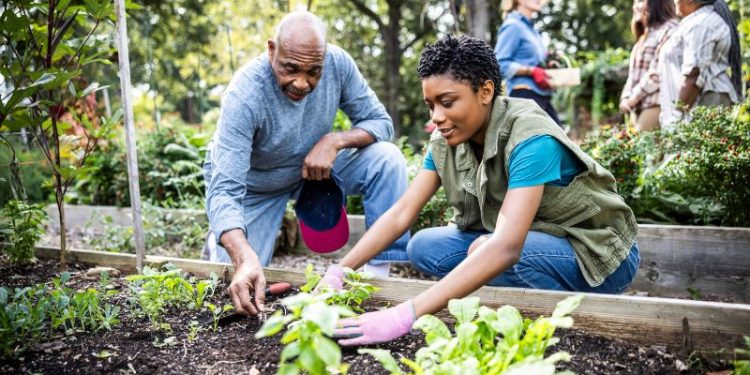 People are lonely. Small steps in your community can make a difference